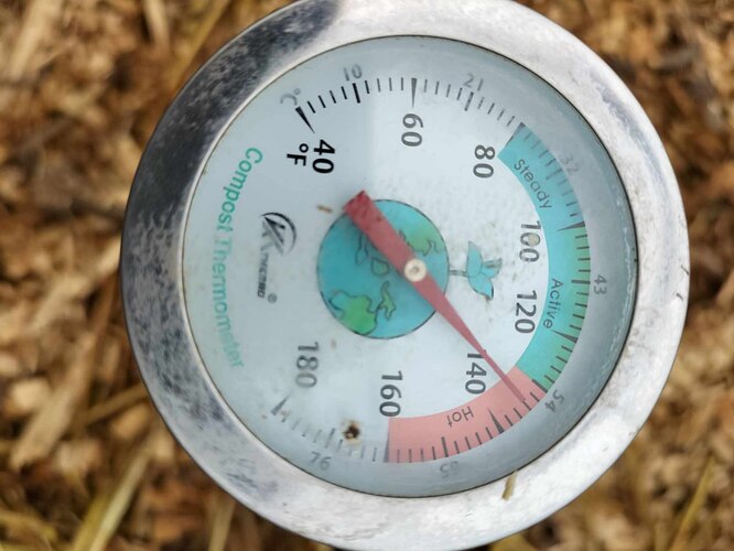 thermometre 1