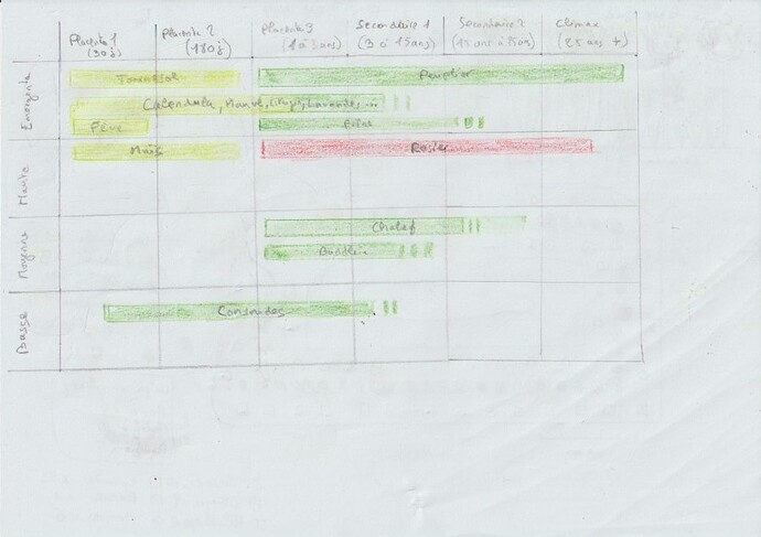 Scan 1