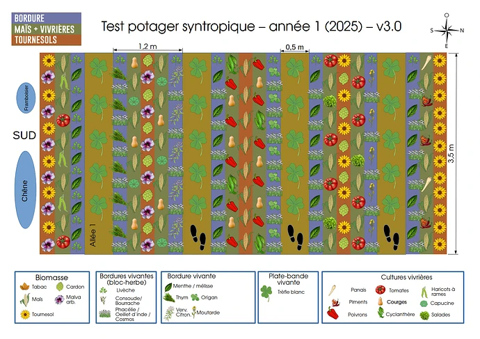 Planche syntropie 2025 verson 3 A3