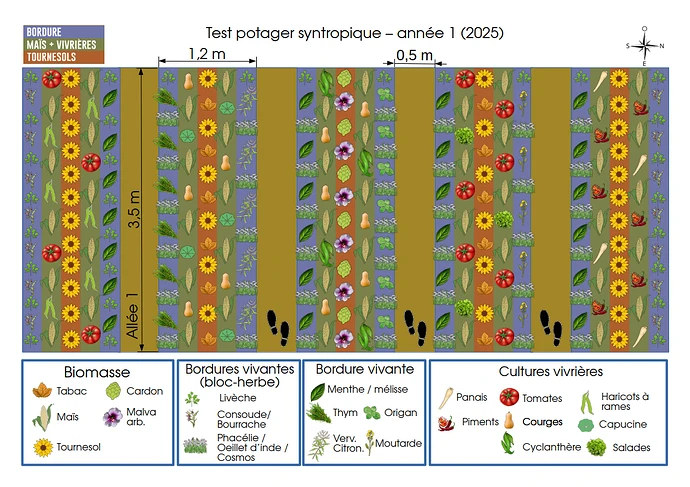 Planche syntropie 2025 verson 1