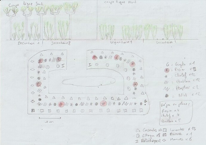 Scan 3